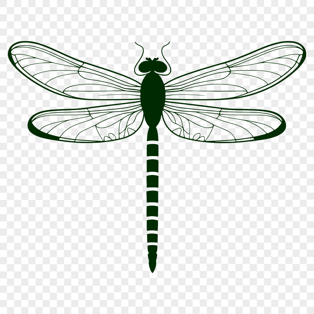 Colorful Winged Beauty Vector Art A colorful illustration of a dragonfly with iridescent wings and body.