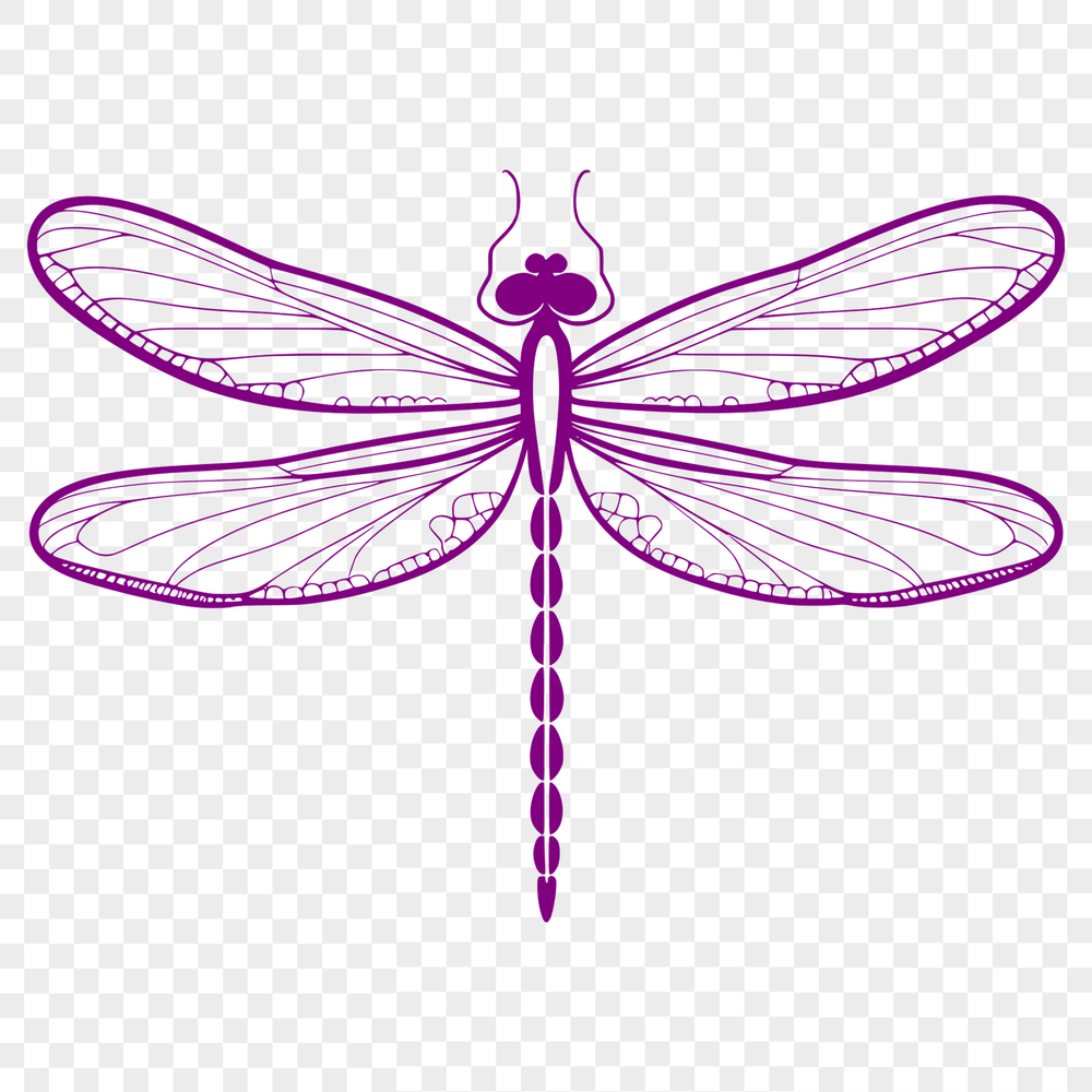 Delicate Dragonfly Illustration in Flight A high-resolution vector illustration of a dragonfly in flight.