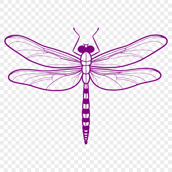 Illustrative dragonfly vector art design for graphic projects.