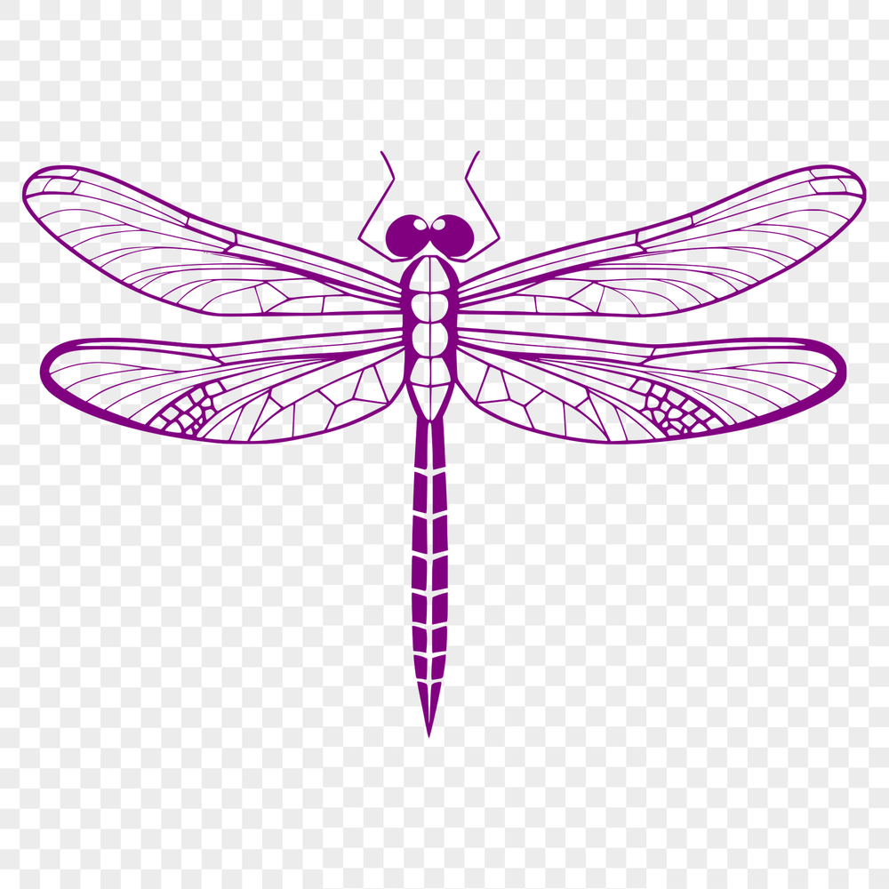 Vibrant Dragonfly in Flight Vector Design A colorful illustration of a dragonfly in flight, suitable for vector art design.
