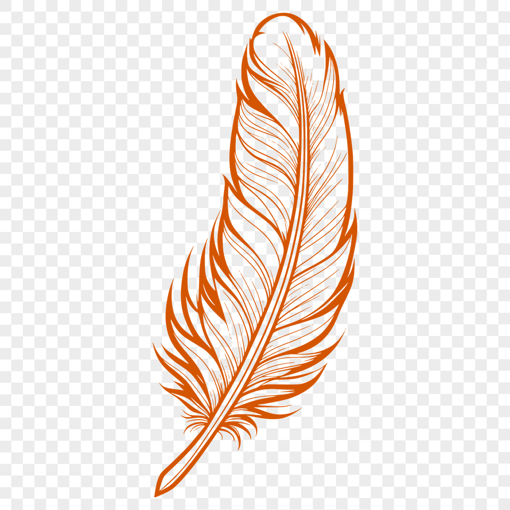 Vector Illustration of a Feather A stylized digital illustration of a feather made from vector shapes.