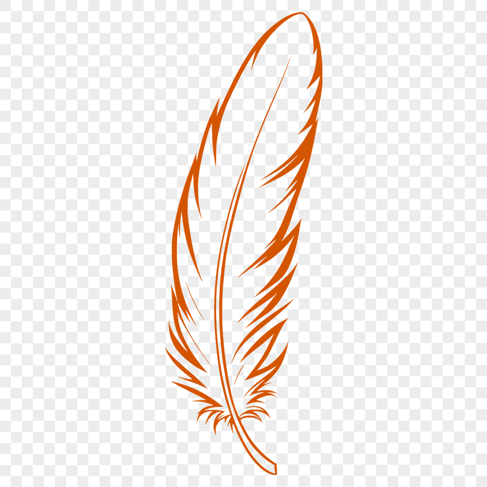 Vector Feather Image Template A detailed illustration of a single feather with intricate lines and shapes.