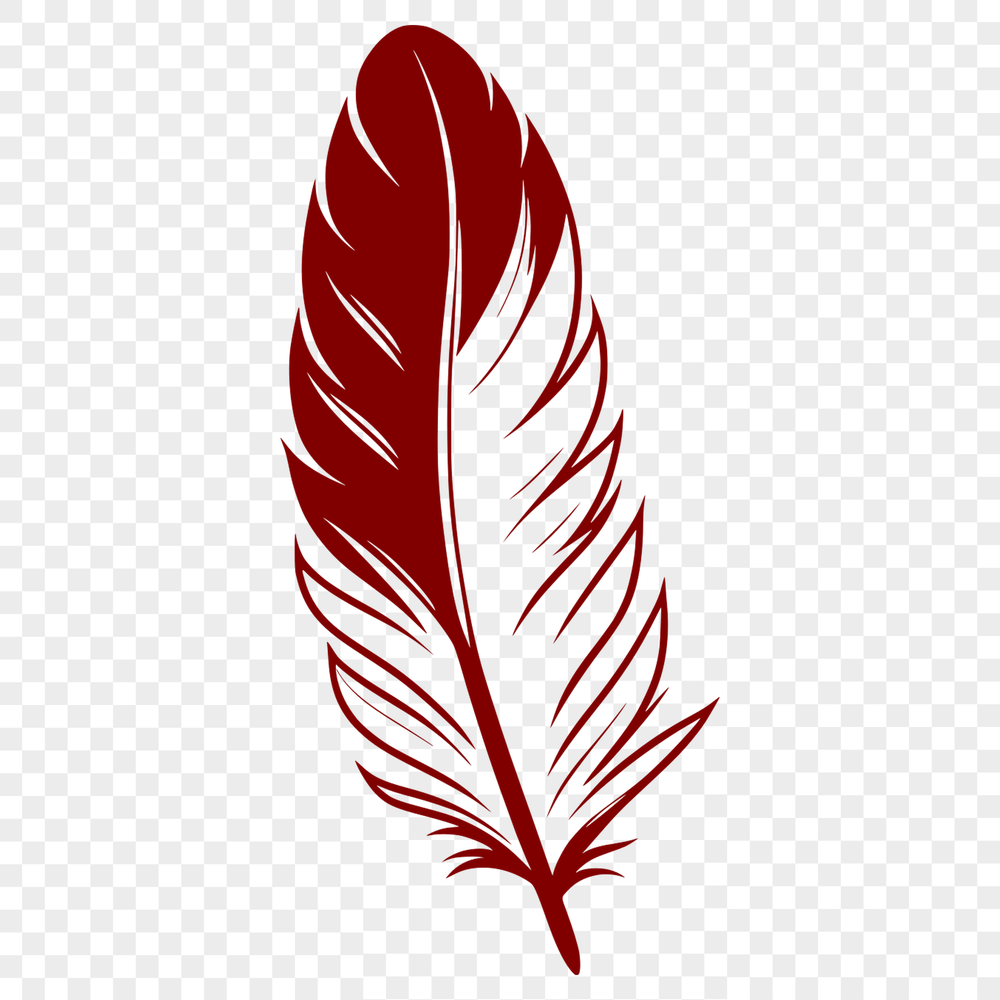Elegant Vector Feather Illustration A stylized illustration of a single feather in vector format.