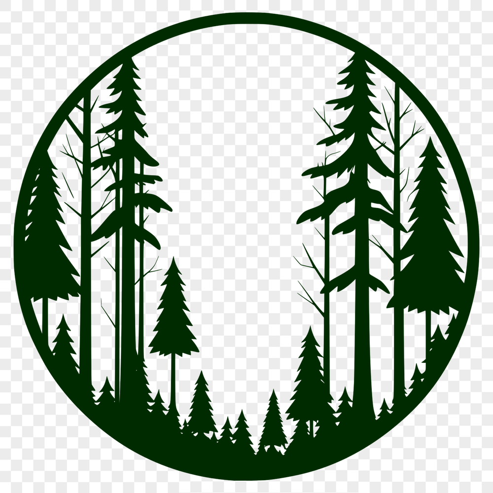 A forest landscape with a group of trees in various shapes and sizes.