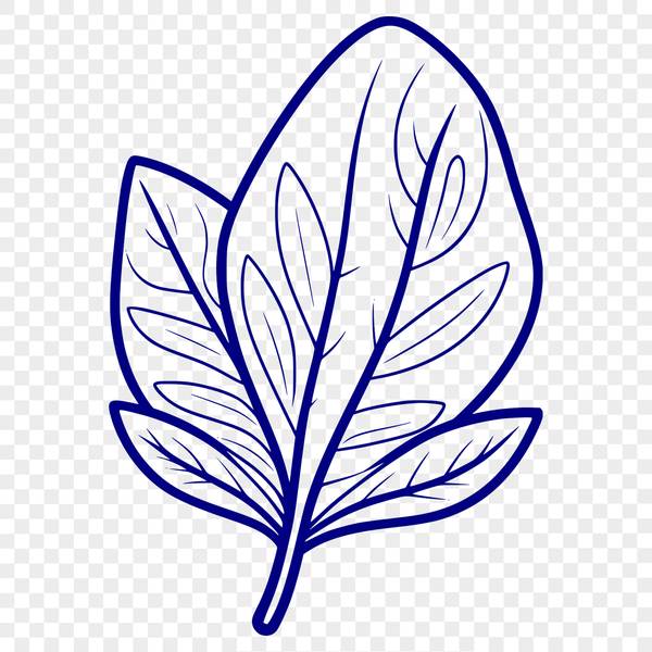 Detailed Leaf Outline in Vector Format A single, detailed leaf with veins and edges depicted in vector format.