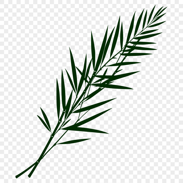 A detailed vector illustration of a single leaf with intricate details, suitable for digital design and crafting projects.