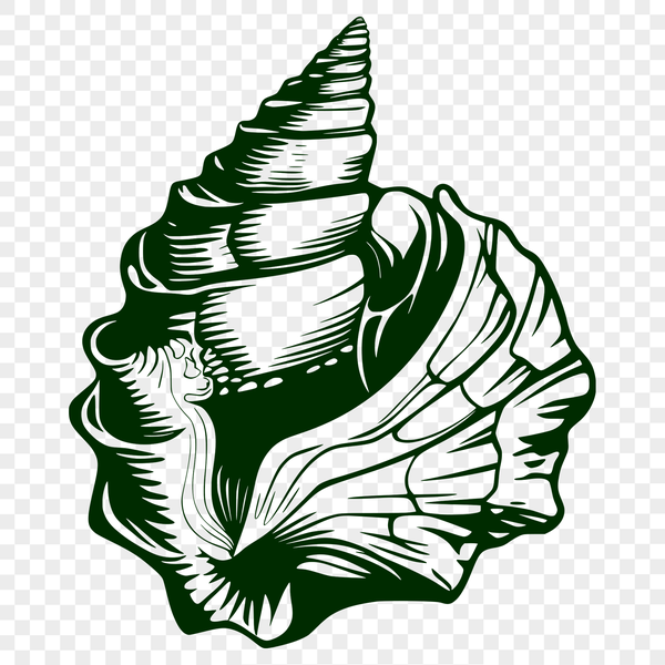 Free Vector Seashell Illustration for Designers A 2D illustration of a seashell with intricate details, suitable for vector design and cutting machine applications.