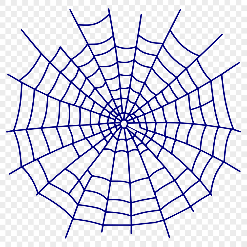 A detailed vector illustration of a spider web in black and white lines.