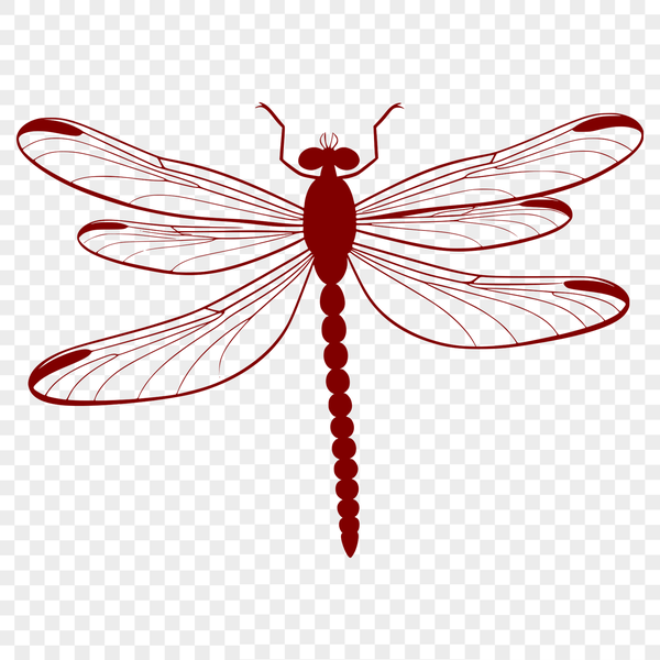 Colorful Dragonfly Graphic Illustrative dragonfly graphic in vector format, suitable for digital applications and cutting machines.