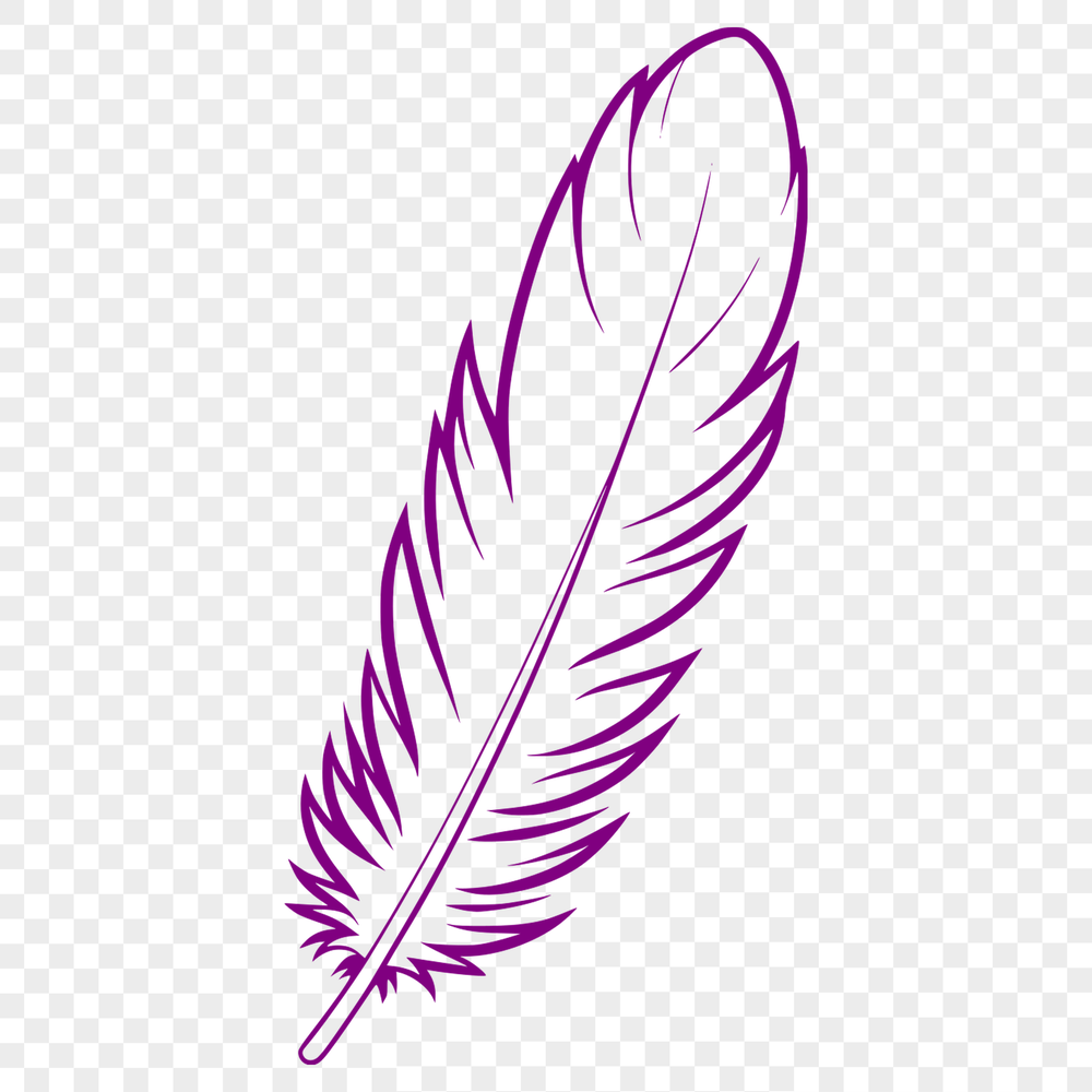 Elegant Feather Illustration A high-quality illustration of a single feather, suitable for use in graphic design and digital crafting.
