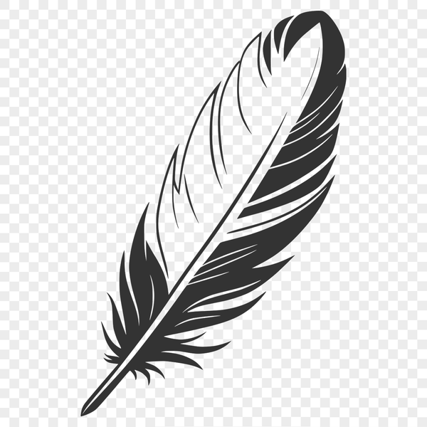 Delicate White Feather Vector Graphics A single white feather with delicate details, suitable for vector design and printing.