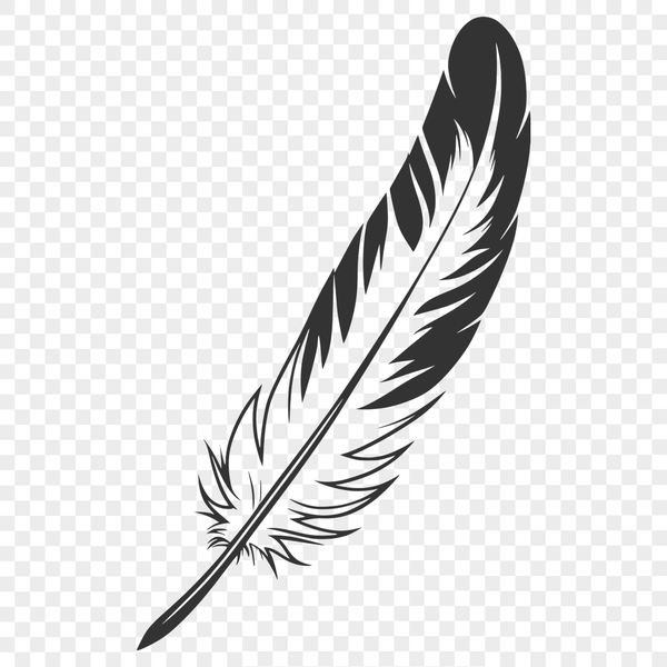 Simple Feather Graphic for Creative Projects A simple, detailed illustration of a feather in vector format.
