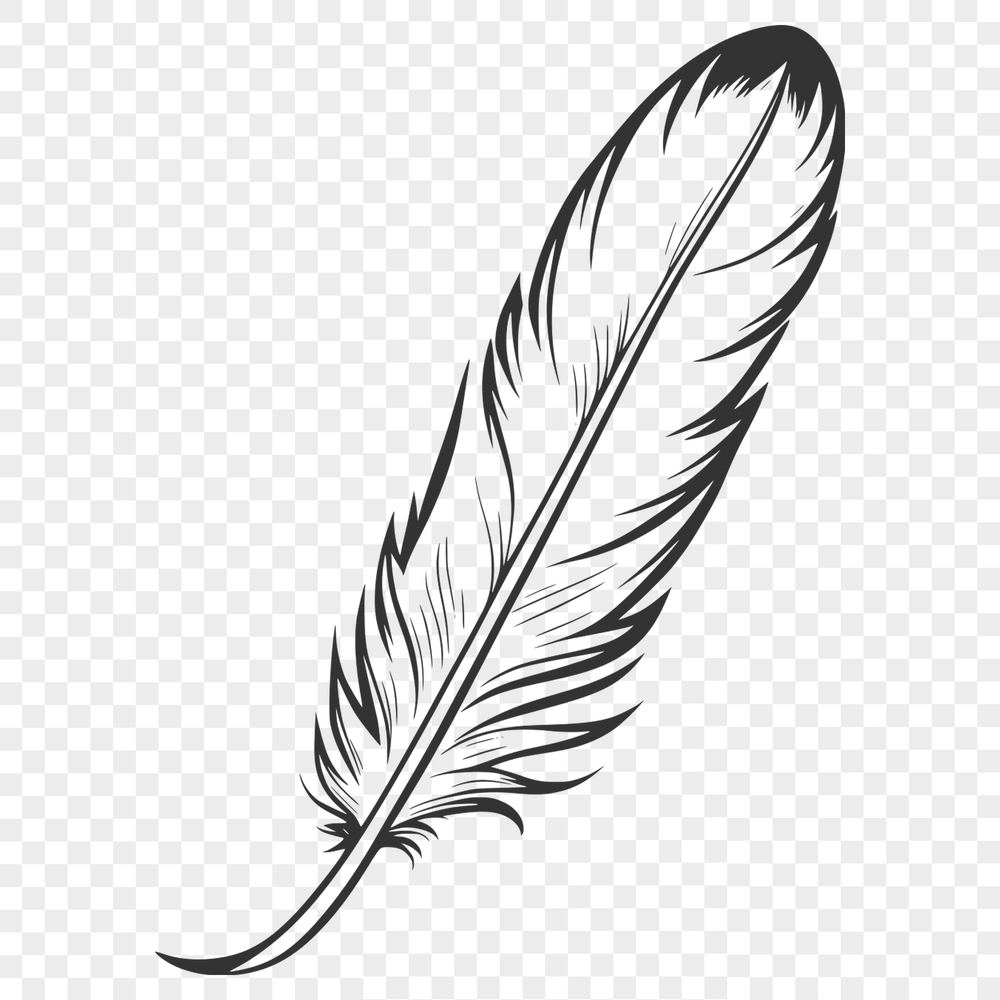 High-Quality SVG Bird Feather Design A high-quality vector illustration of a single bird's feather with precise edges and clean lines.