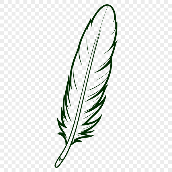 A beautifully designed vector feather illustration A high-quality SVG illustration of a feather, ideal for vector design and digital applications.