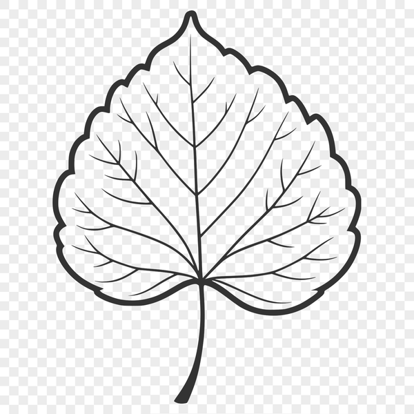 Free Vector Leaf Clip Art A vector illustration of a single leaf with smooth edges and realistic texture.