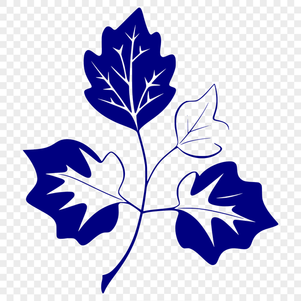 A Beautiful Single Leaf Illustration A high-quality digital illustration of a single leaf with detailed veins, suitable for use in graphic design projects.