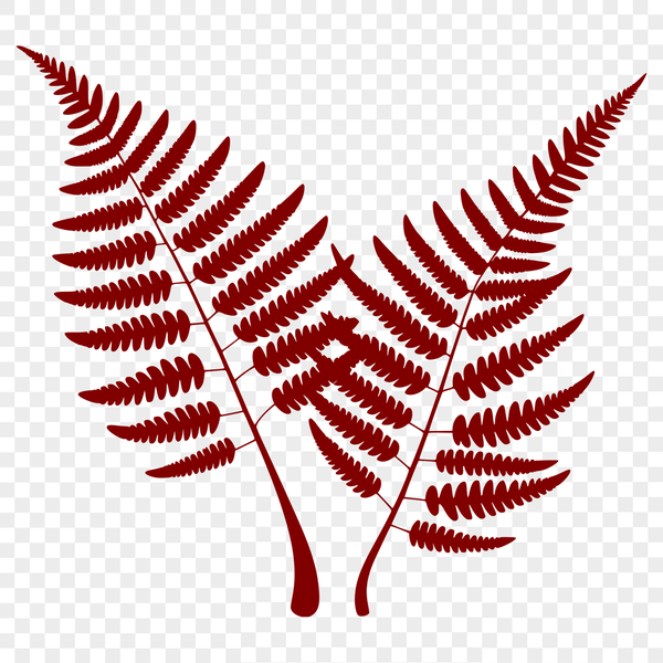 Vector Leaf Illustration A stylized illustration of a leaf in vector format.
