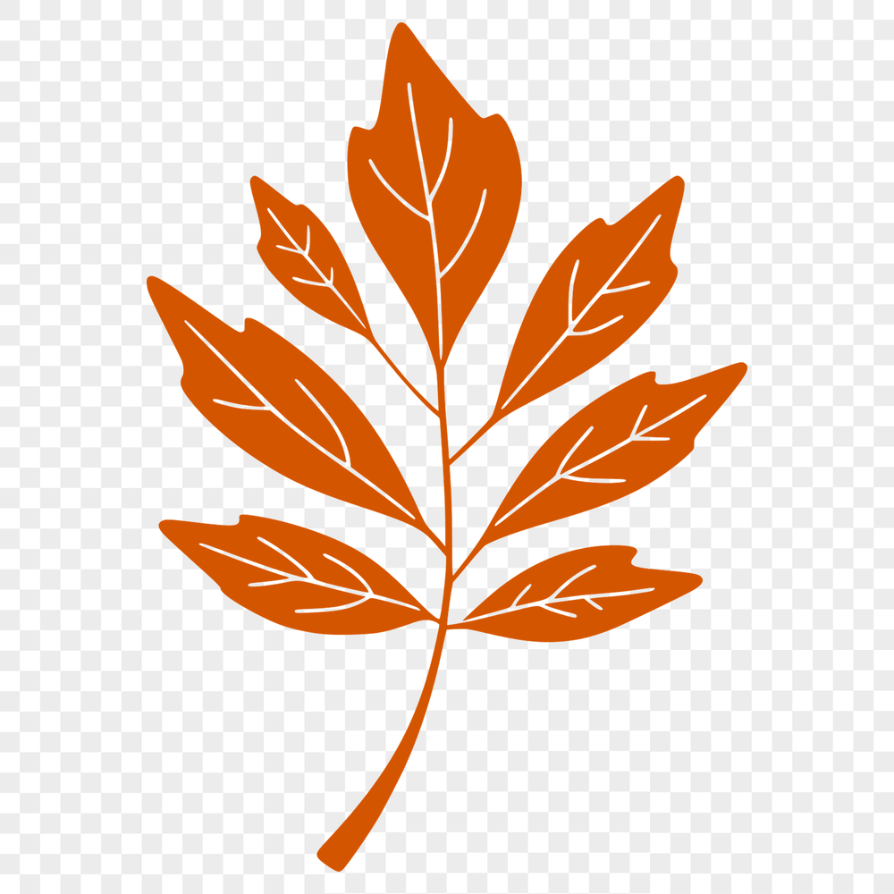 A detailed illustration of a single leaf with various layers and details.