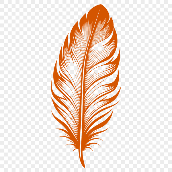 An individual feather depicted as a scalable graphic element.