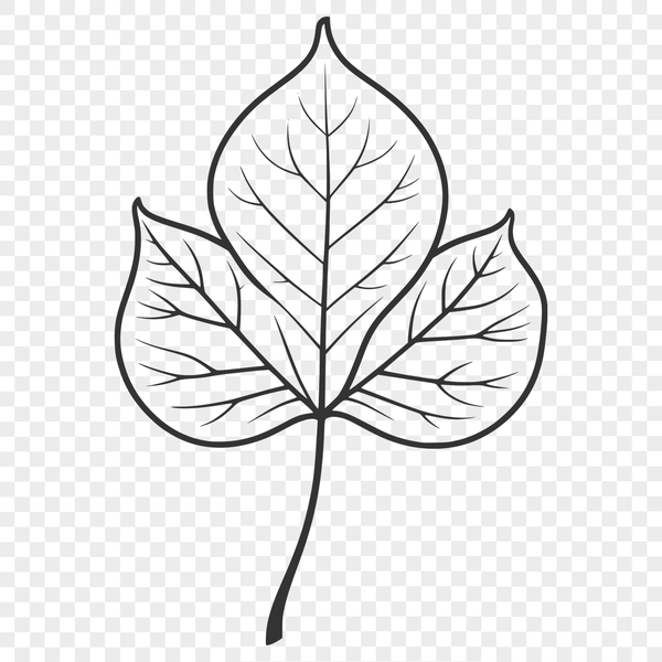 Stylized Leaf Illustration for Digital Projects A stylized leaf illustration suitable for digital design projects.