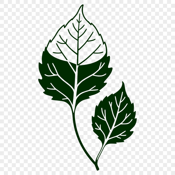 Free Scalable SVG Green Leaf Graphic A high-resolution, scalable graphic illustration of a single leaf in vector format.