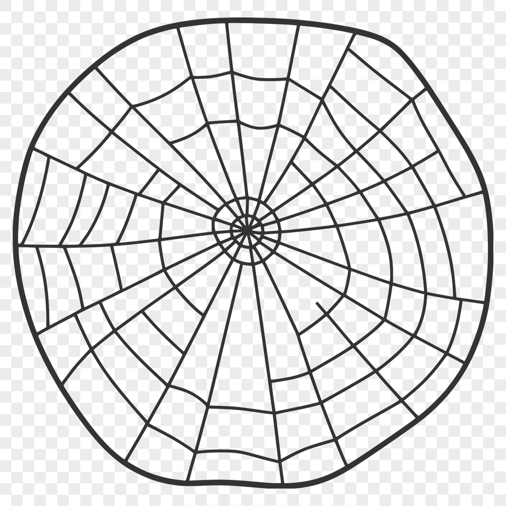 Elegant Spider Web Design A detailed illustration of a spider web made up of intricate lines and shapes, suitable for vector art designs.