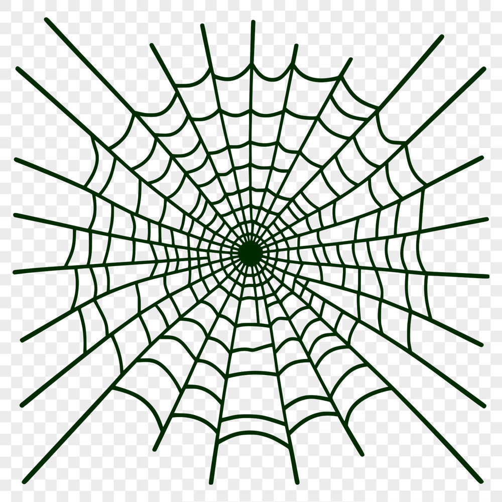 A delicate, intricate spider web design created in scalable vector graphics format.