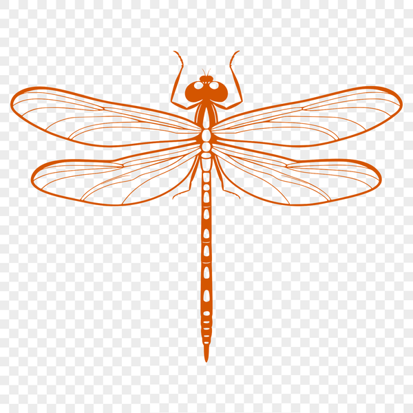 Colorful Insect in Flight Vector Graphic A colorful dragonfly in mid-flight, depicted as a vector graphic.