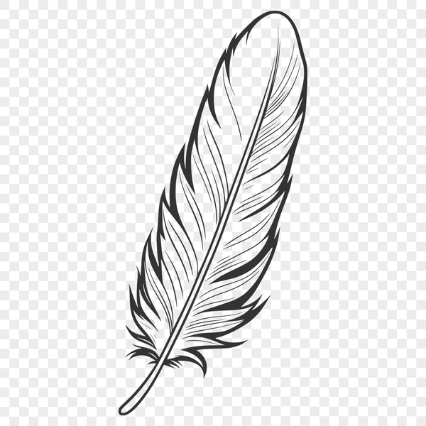 White Feather Clip Art Vector Design A single white feather with intricate details, suitable for vector design and cutting machine projects.