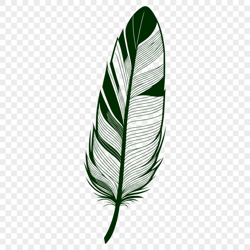 Stylized Feather Graphic A simple design element featuring a stylized feather with clean lines and minimal details.