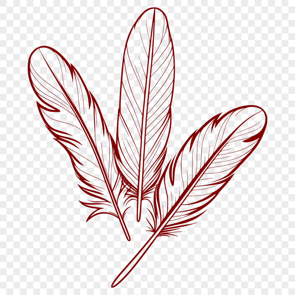 Beautiful Feather Illustration A detailed vector illustration of a single feather with distinct shapes and lines.