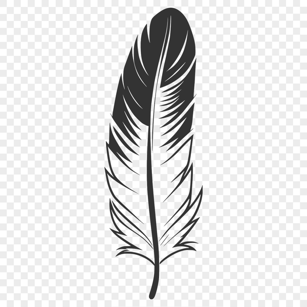 Whimsical White Feather Silhouette A single white bird feather with subtle texture and details.