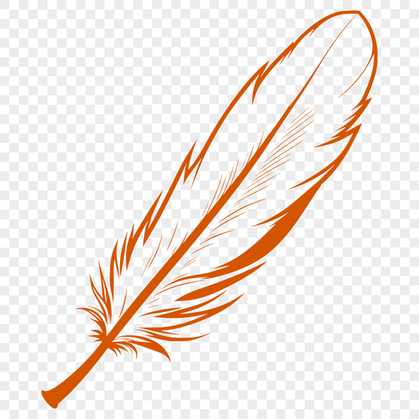 Delicate Feather Illustration A detailed illustration of a single feather in vector format.