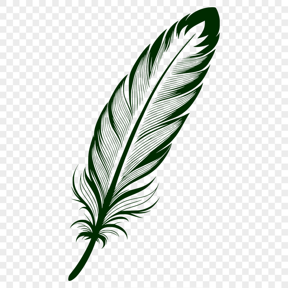 Beautiful Feather Design A stylized illustration of a feather with intricate details, suitable for various design applications.