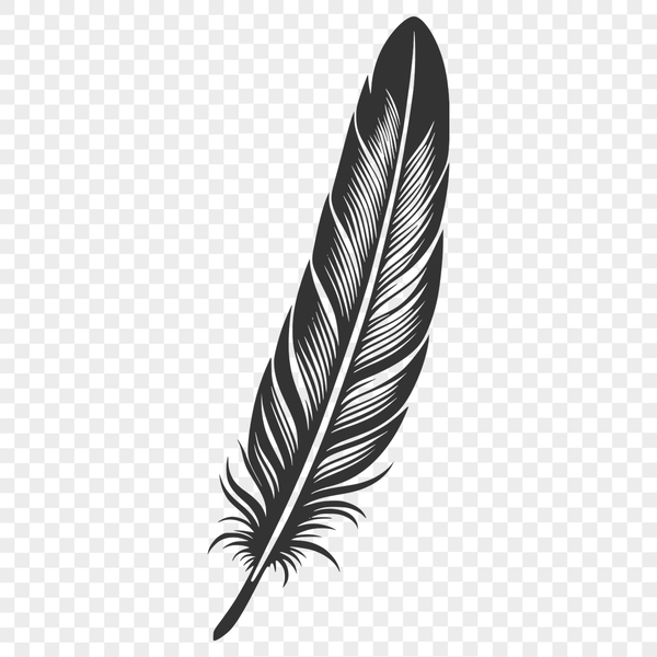 Detailed Feather SVG File A detailed illustration of a single feather in various forms.
