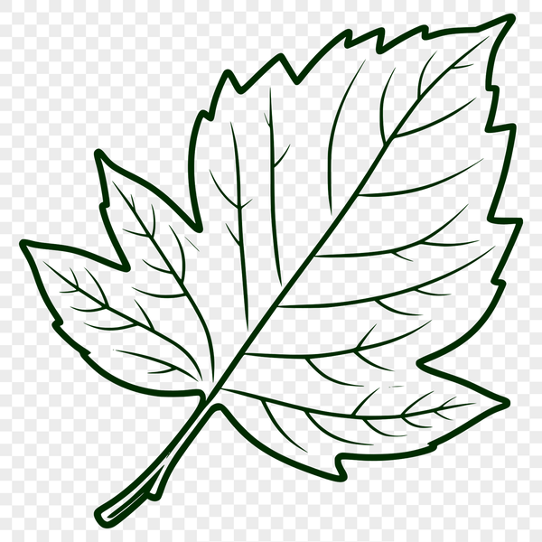 Elegant Leaf Vector Illustration A single leaf with rounded edges and pointed tip, suitable for use as clip art in various design projects.