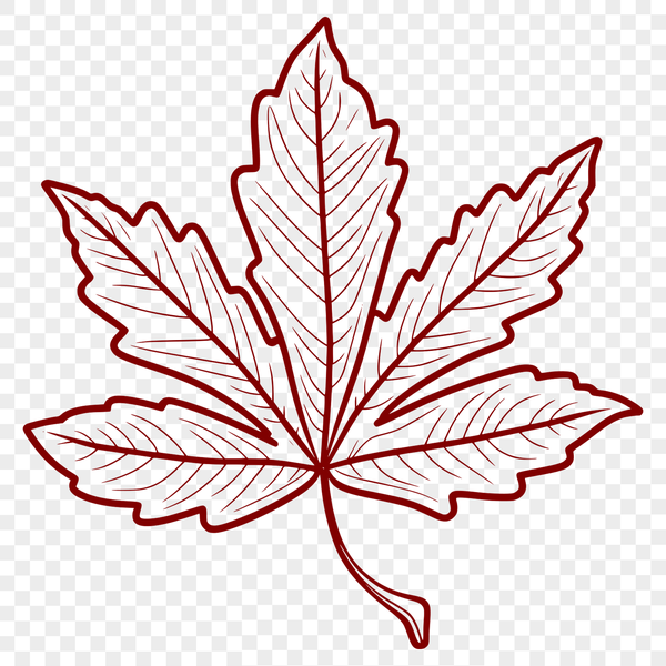A Single Leaf Illustration with Intricate Veins A detailed illustration of a single leaf with intricate vein patterns.