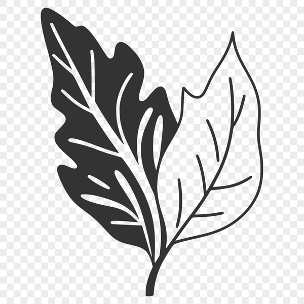 Leaf Vector Art Illustration A detailed illustration of a leaf in vector format, suitable for printing and cutting with a Cricut machine or laser cutter.