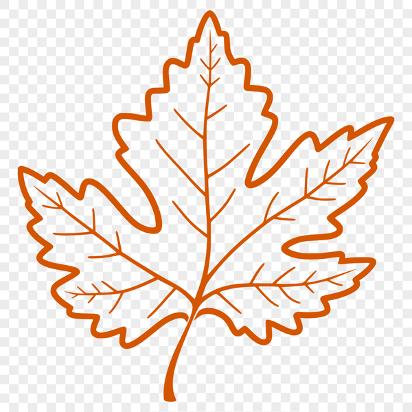 High-Resolution Maple Leaf Illustration A detailed, high-resolution vector illustration of a single maple leaf with realistic veins and edges.