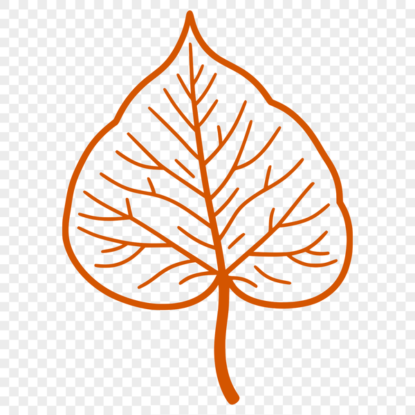 A detailed illustration of a single green leaf with veins and edges.