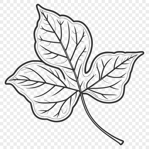 Leaf SVG Cut File for Crafts A stylized leaf illustration suitable for digital and paper crafts, designed as a vector graphic.