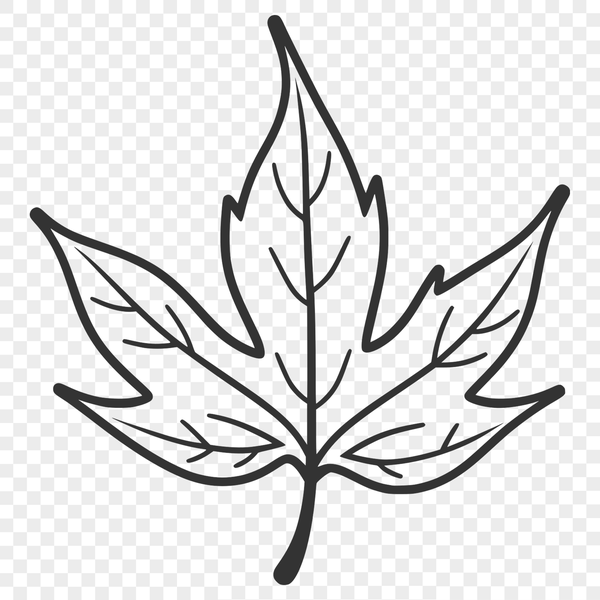 Intricate Leaf Illustration in Vector Format A detailed illustration of a single leaf with intricate veins and edges, created as an SVG vector art design.