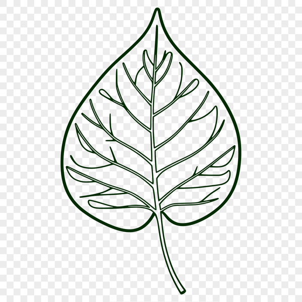 Beautiful Leaf Graphic A single leaf with detailed veins and edges, suitable for vector design projects.