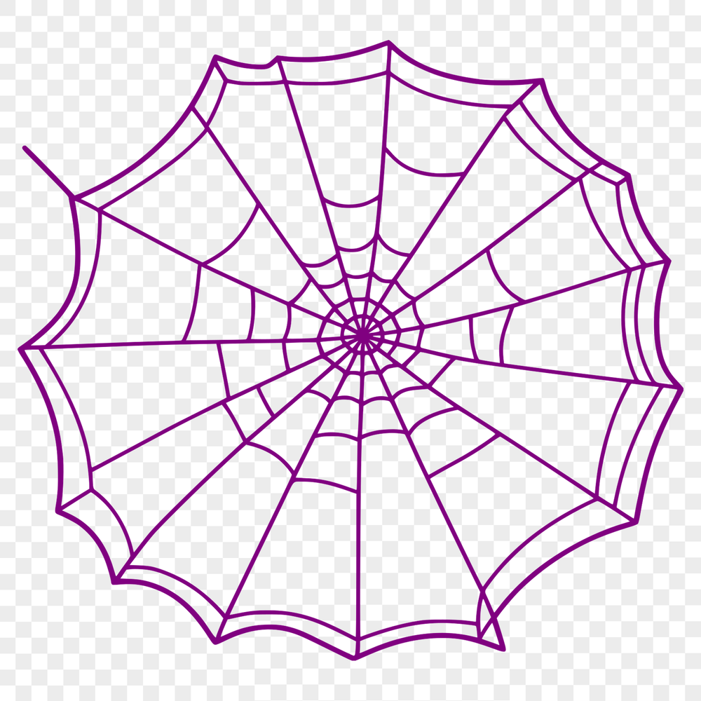 A detailed illustration of a spider web created using vector graphics.