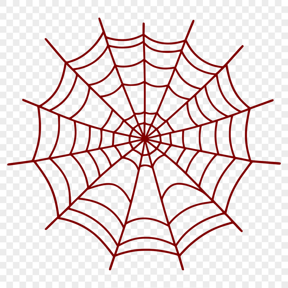 Delicate Spider Web Vector Art A detailed vector illustration of a spider web in various angles and shapes, suitable for digital design projects.