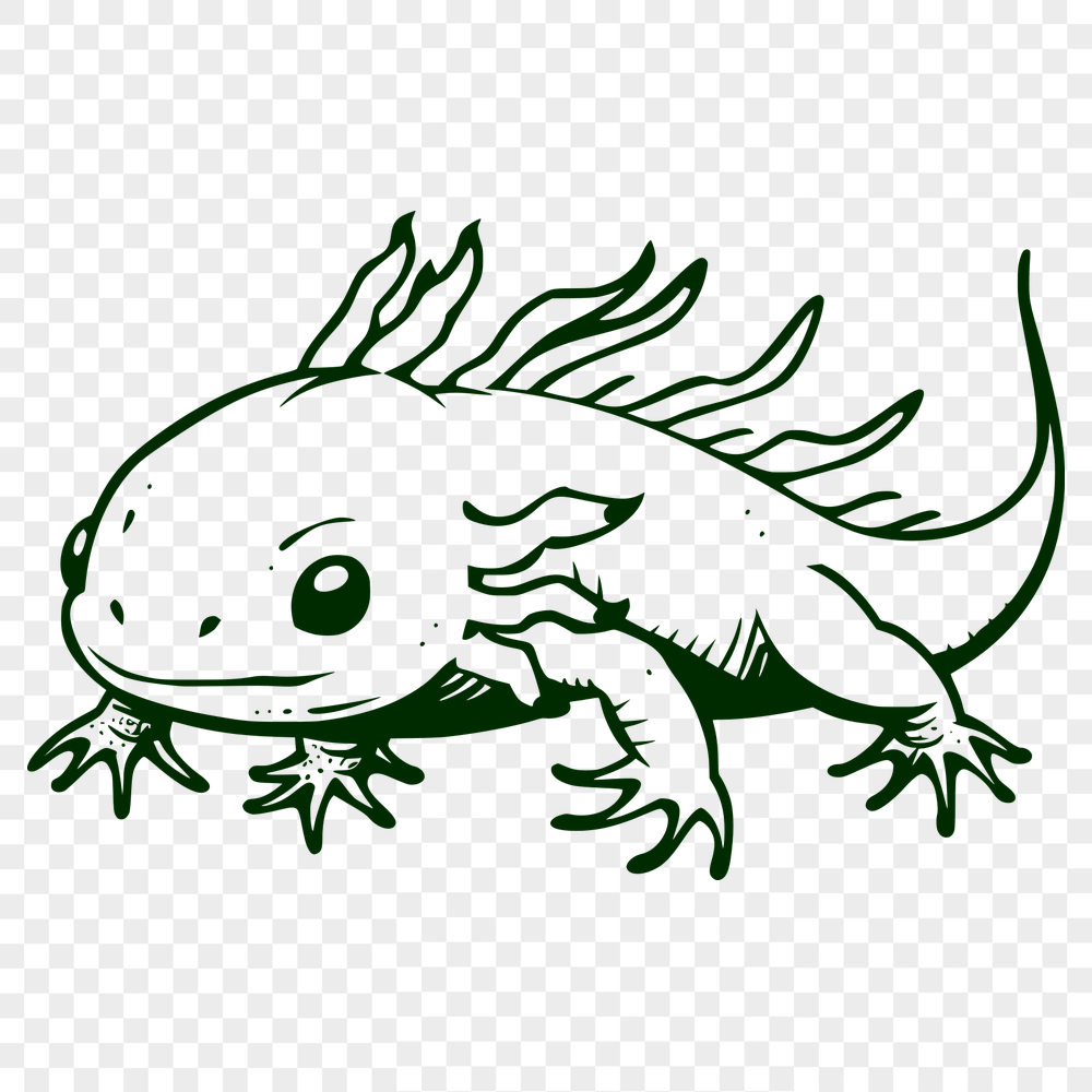 Artistic Axolotl Decal