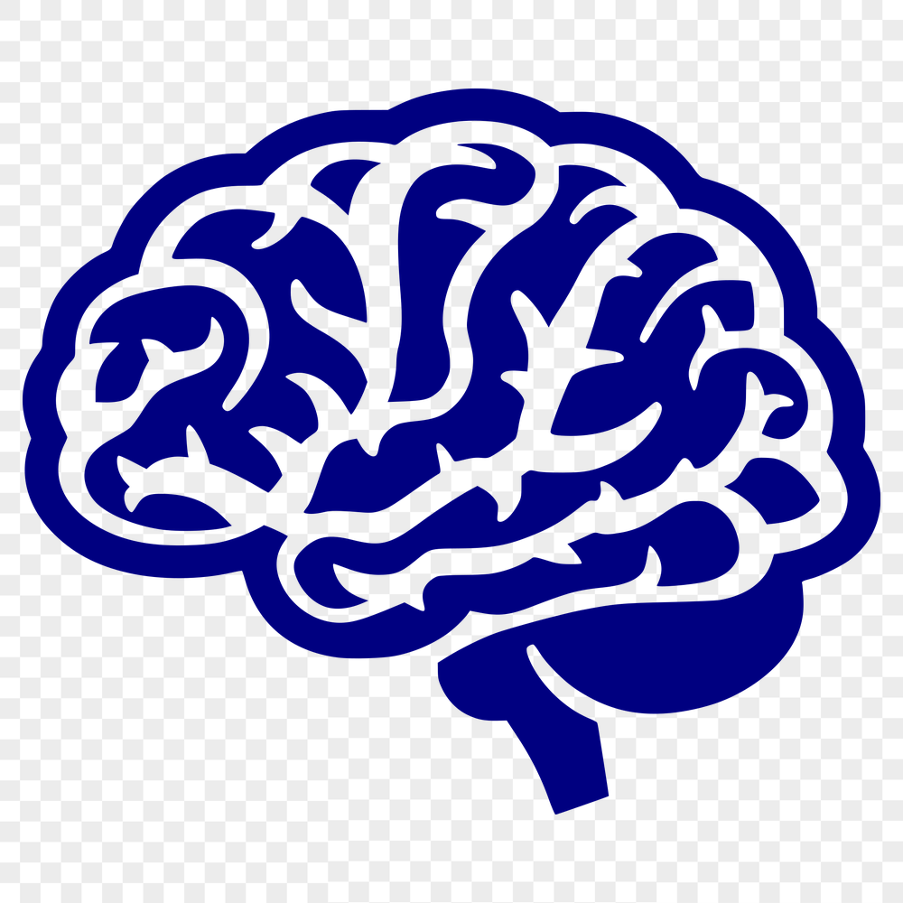 Brain SVG, PNG, PDF And DXF Files