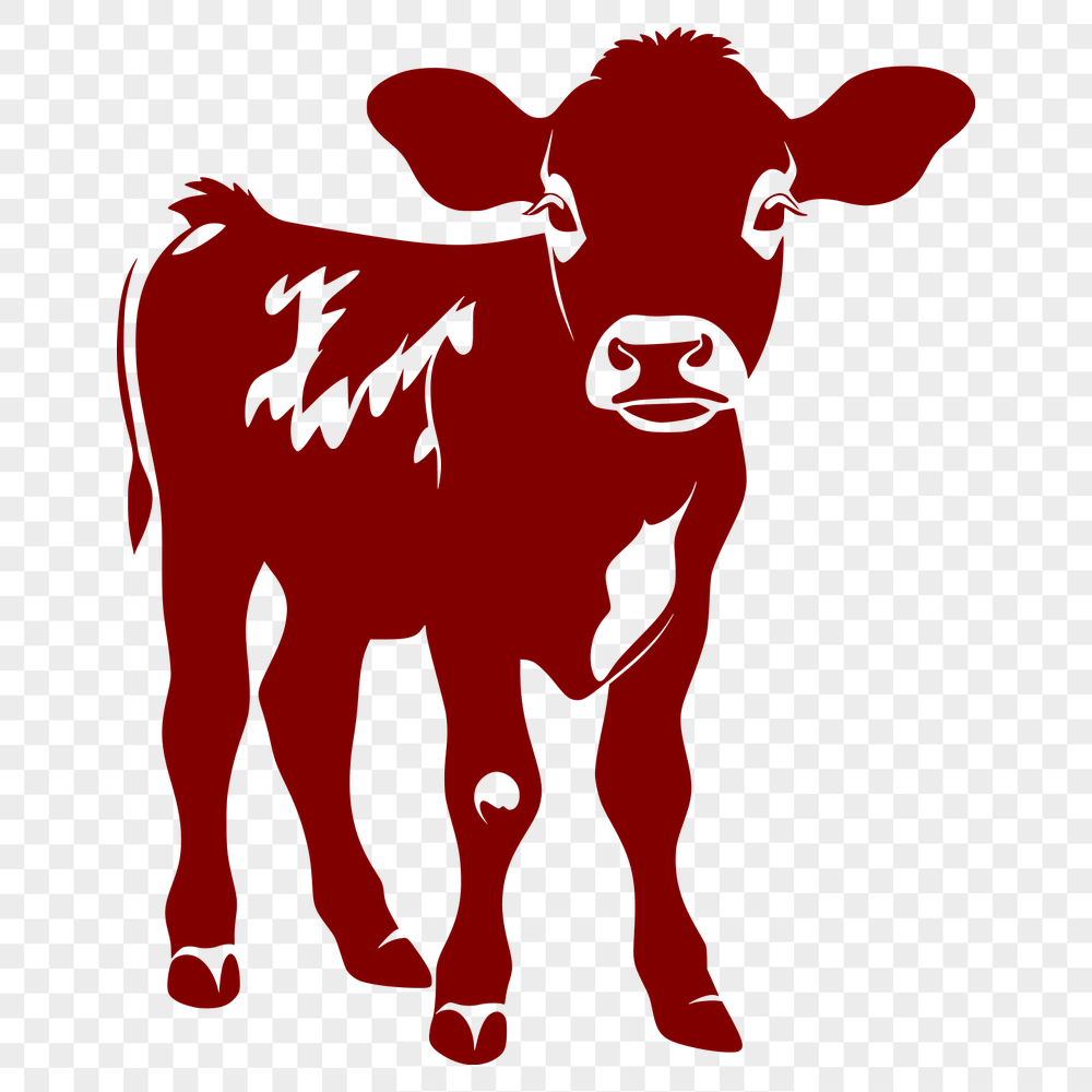 Artistic Cow - For Farm Animal Project