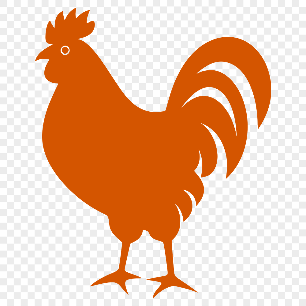 Free Artistic Chicken Vector Drawing