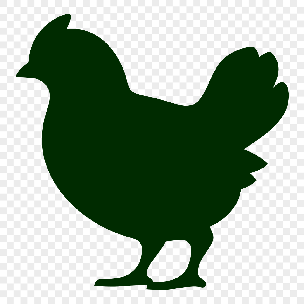 Unique Chicken Design